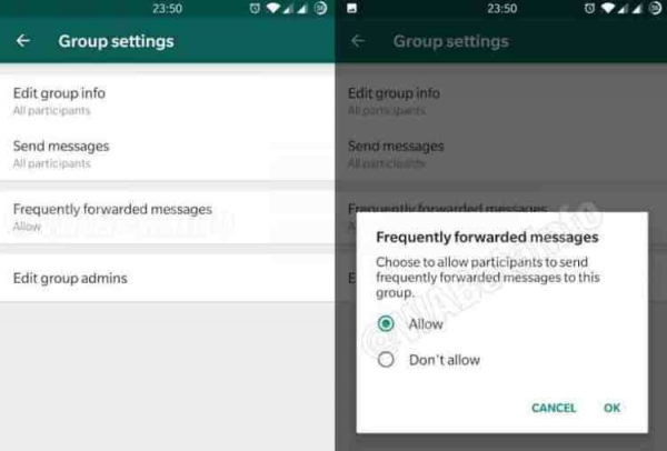 WhatsApp тестирует функцию блокировки часто пересылаемых сообщений в группах"