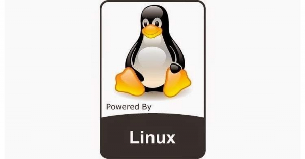 Ядро Linux 5.4 готово к массовому развёртыванию"